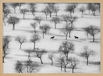 Winter Horses in Snow | Poster - Wood Frame Interior