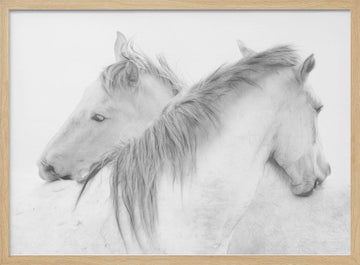 Ethereal White Horses | Poster - Wood Frame Interior