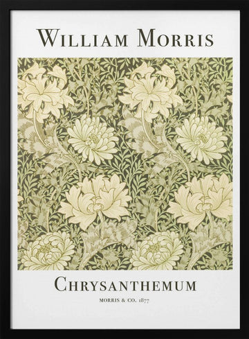 Chrysanthemum | Poster - Black Metal Frame Interior