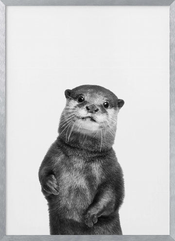 Otter | Poster - Silver Frame Interior