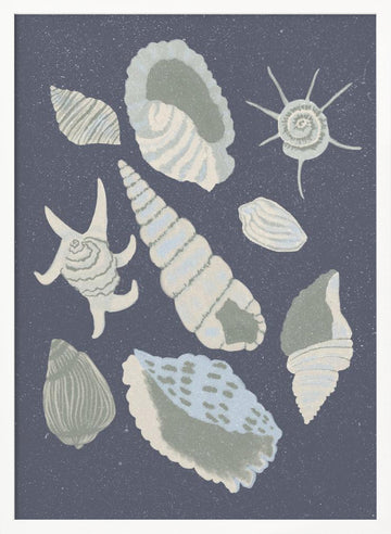 Seashells Collection | Poster - White Frame Interior