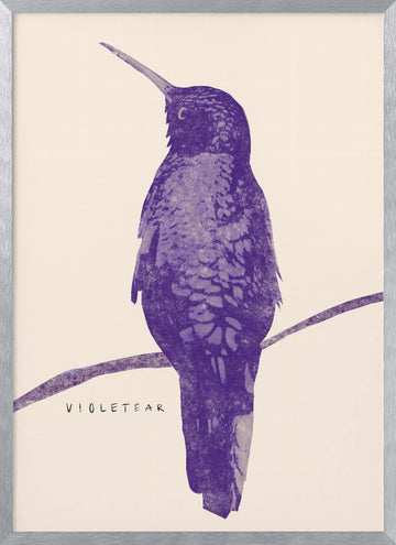 Elegant Violet Hummingbird | Poster - Silver Frame Interior