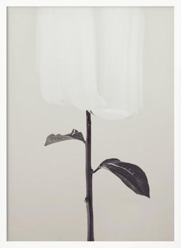 Ethereal Fabric Flower | Poster - White Frame Interior