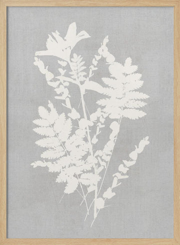 Botanical Silhouette Study | Poster - Wood Frame Interior
