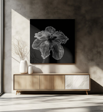 Elegant Monochrome Tulip | Canvas - Room Interior 2