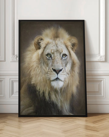 Majestic Lion Gaze | Poster - Room Interior 1