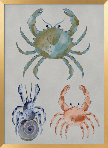 Ocean Crabs Watercolor | Poster - Gold Frame Interior