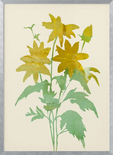 Gentle Yellow Blossoms | Poster - Silver Frame Interior