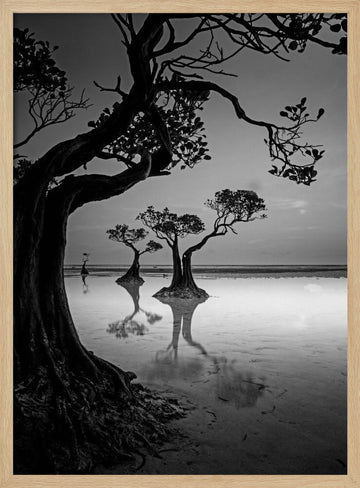 Moody Mangrove Landscape | Poster - Wood Frame Interior