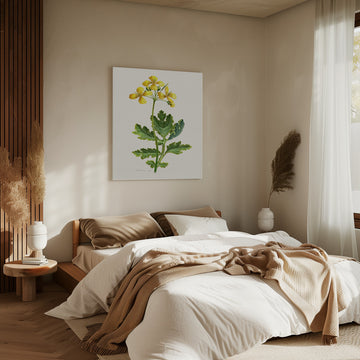Vintage Celandine Botanical | Canvas - Room Interior 2