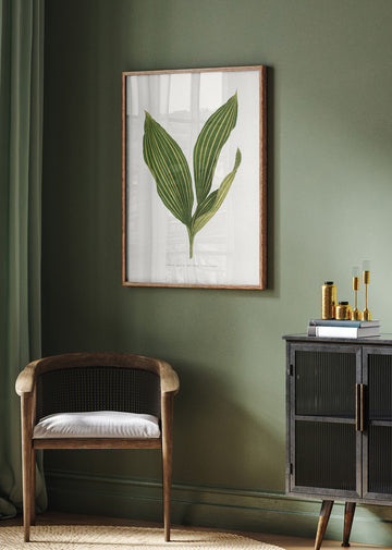 Lily of the Valley Leaf Illustration | Poster - Room Interior 2
