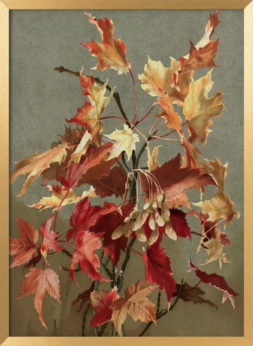 Autumn Leaves, No. 2 (maple) By Ellen Thayer Fisher | Poster - Gold Frame Interior