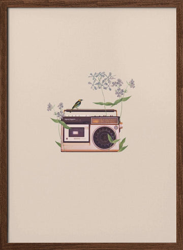 Boombox Bird Blossom | Poster - Walnut Frame Interior
