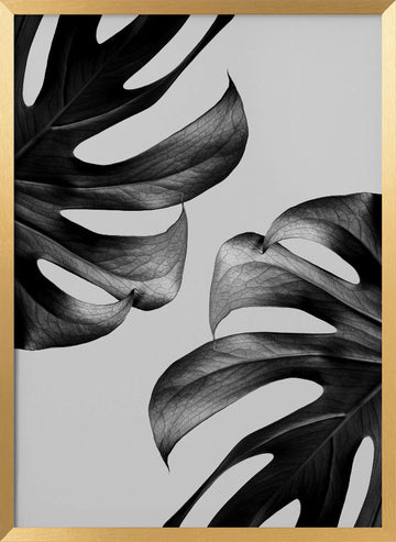 Elegant Monstera Duo | Poster - Gold Frame Interior