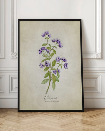 Purple Oregano Botanical | Poster - Room Interior 1