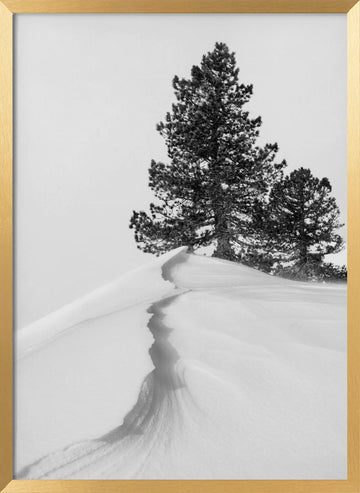 Winter Ridge Pines | Poster - Gold Frame Interior