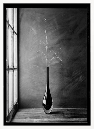 Minimalist Branch Vase | Poster - White Frame Interior
