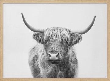 Highland Bull | Poster - Wood Frame Interior