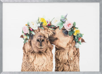 Boho Alpacas | Poster - Silver Frame Interior