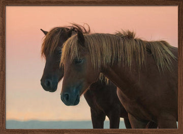 Peaceful Wild Horses | Poster - Walnut Frame Interior