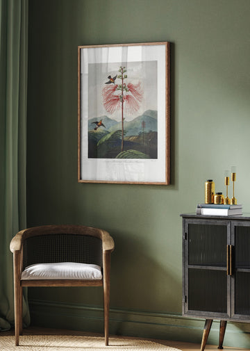 Large–Flowering Sensitive Plant from The Temple of Flora (1807) | Poster - Room Interior 2