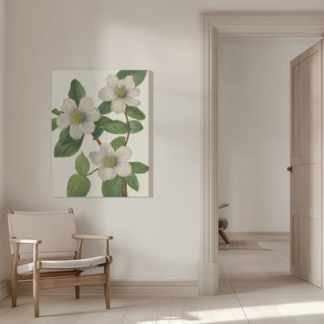 Pacific Dogwood | Canvas - Room Interior 1