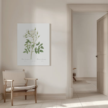 Rose of Rosenberg, Les Roses (1817–1824) | Canvas - Room Interior 1