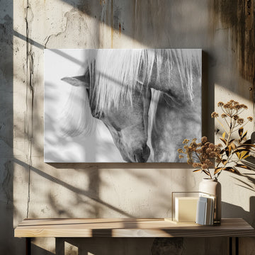 Serene Horse Portrait | Canvas - Room Interior 2