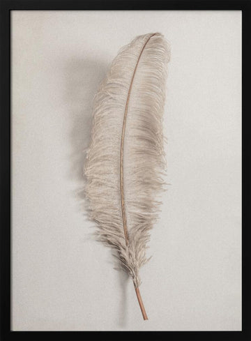 Delicate Light Feather | Poster - Black Frame Interior