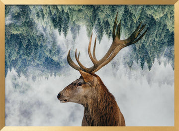 The Deer and the woods | Poster - Gold Frame Interior
