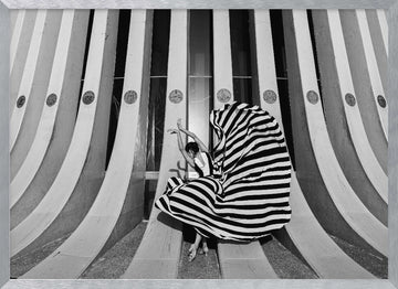 Graceful Striped Dancer | Poster - Silver Frame Interior