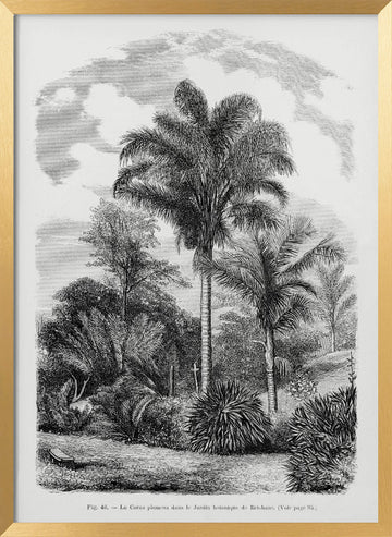 Vintage Palm Tree Drawing Vi | Poster - Gold Frame Interior
