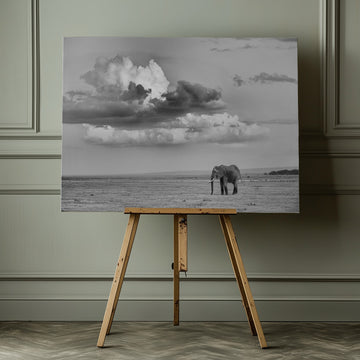 Lone Elephant Under Dramatic Sky | Canvas - Room Interior 1