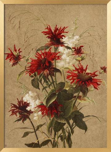 Balm and Spiraea By Ellen Thayer Fisher | Poster - Gold Frame Interior