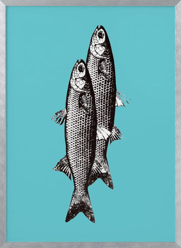 Vintage Fish Duo | Poster - Silver Frame Interior