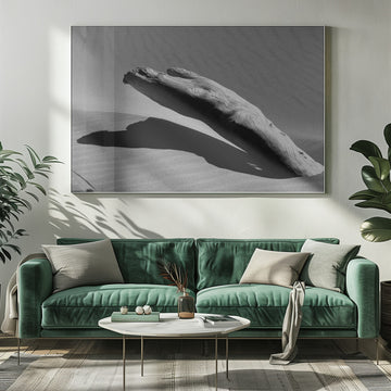 Desert Driftwood Shadow | Poster - Room Interior 1