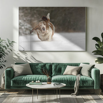Joyful Basset Hound Snow Run | Poster - Room Interior 1