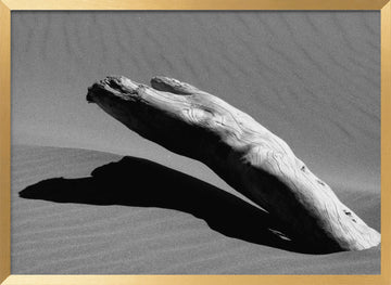 Desert Driftwood Shadow | Poster - Gold Frame Interior