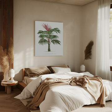 Kentiopsis | Canvas - Room Interior 2