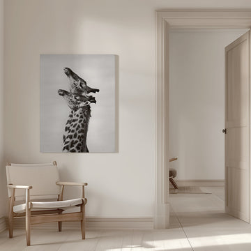 Two Giraffes Gaze | Canvas - Room Interior 1