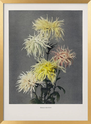 Nami–chi–dori | Poster - Gold Frame Interior