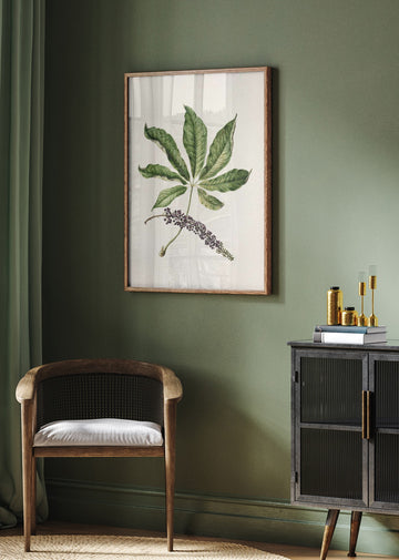 Antique Plant Drawn By Sarah Featon (1848–1927) | Poster - Room Interior 2