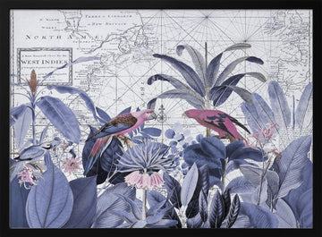 Pink Parrots Tropical Map | Poster - Black Metal Frame Interior