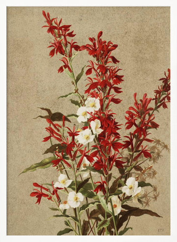 Cardinal Flowers | Poster - White Frame Interior