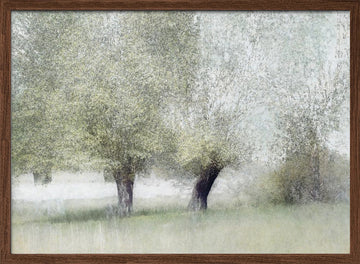 Young green | Poster - Walnut Frame Interior
