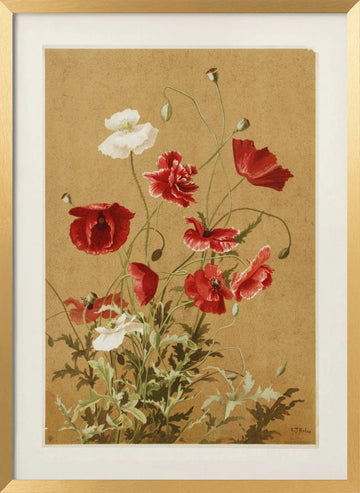 Poppies No. 3 By Ellen Thayer Fisher | Poster - Gold Frame Interior