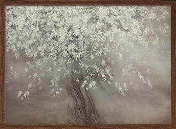 Stars of spring | Poster - Walnut Frame Interior