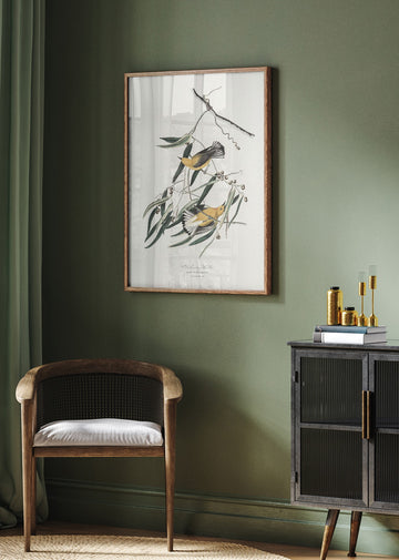 Prothonotary Warbler From Birds of America (1827) | Poster - Room Interior 2