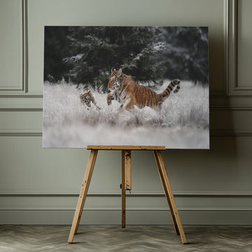Playful Winter Tigers | Canvas - Room Interior 1