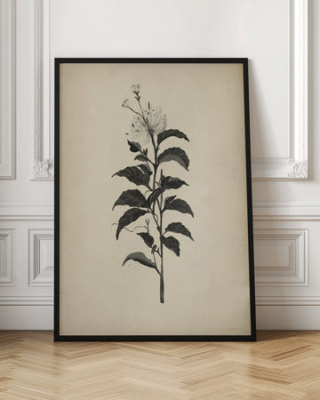 Vintage Botanical Illustration | Poster - Room Interior 1